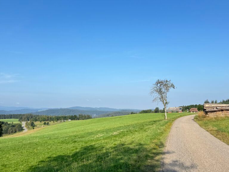 Mehr über den Artikel erfahren Quer durch Deutschland