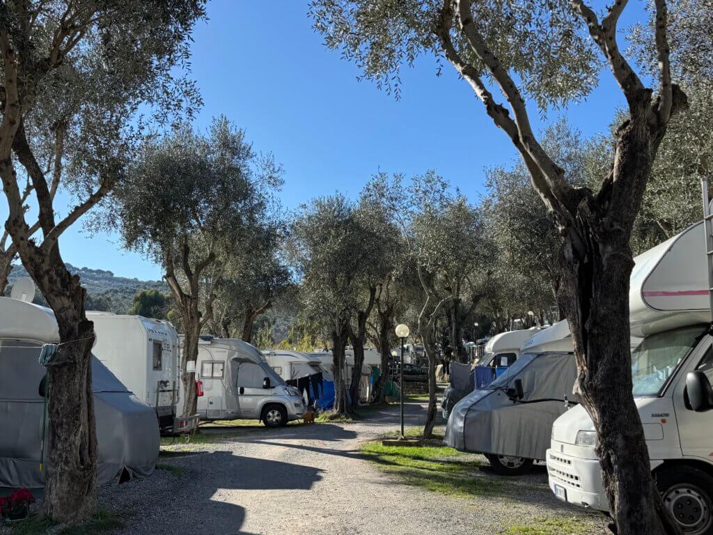 oasi camping